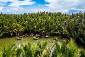 Tour a coconut forest