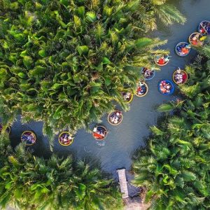a coconut forest tour