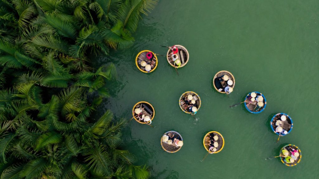 Aerial view of colorful basket boats floating on emerald water beside dense coconut palms in Cam Thanh Coconut Forest.
