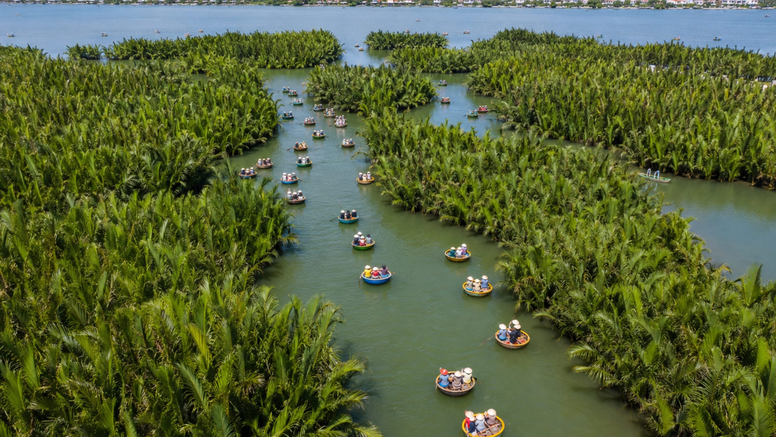 Aerial view of many basket boats floating through the green waterways of Hoi An Coconut Village and Bay Mau Coconut Forest.