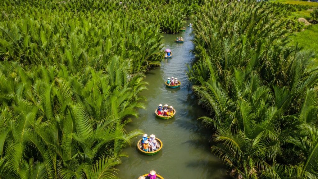 Best Cam Thanh Coconut Village Tour for a Unique Hoi An Experience 3 Aerial view of basket boats moving through Cam Thanh Coconut Forest.