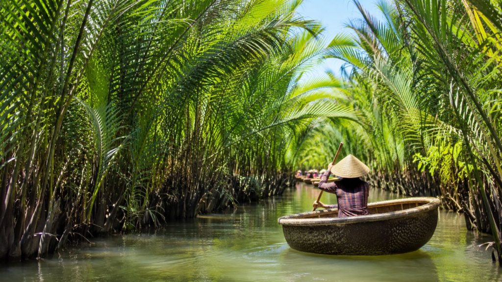 A local rower paddles a traditional basket boat through the lush nipa palm waterways of Cam Thanh Coconut Village.