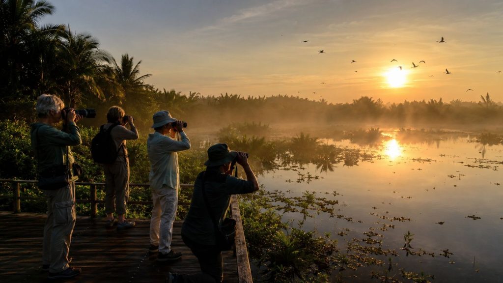 Travelers photograph birds over misty wetlands at sunrise during a peaceful nature experience in Cam Thanh.
