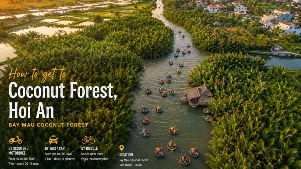 Aerial view of tourists in basket boats winding through Bay Mau Coconut Forest.
