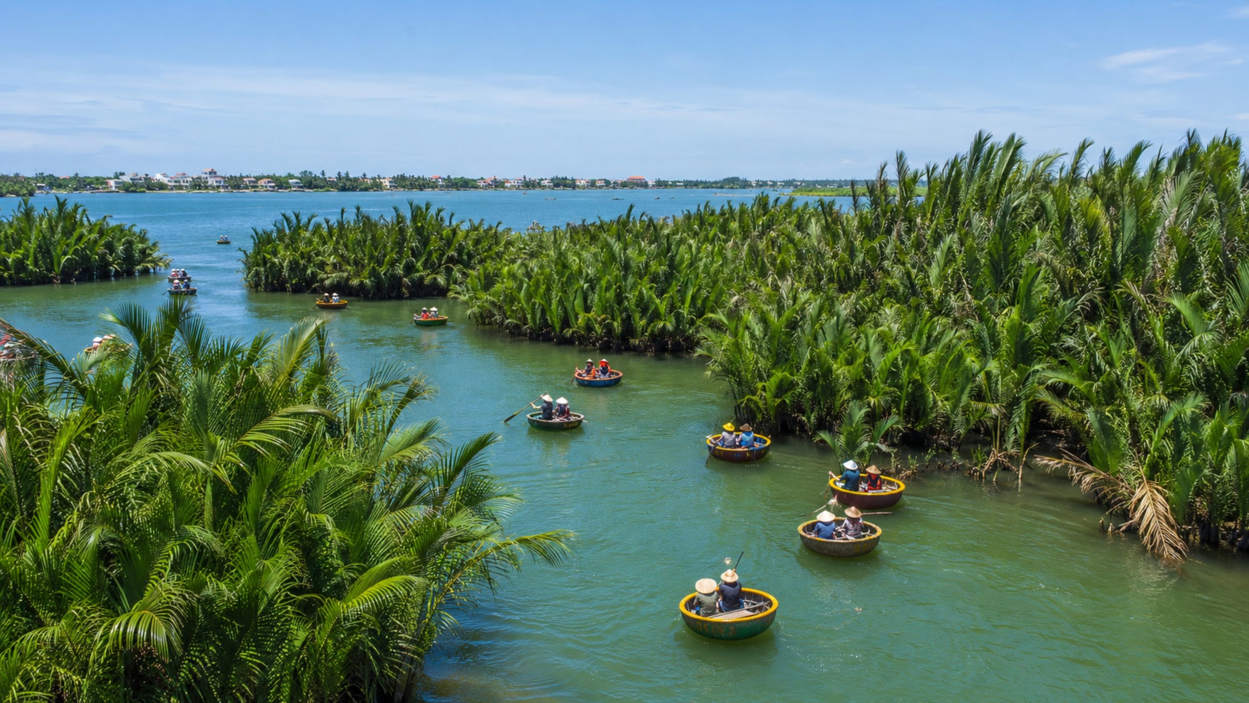 Panoramic view of basket boats floating through the green coconut forest in Hoi An.