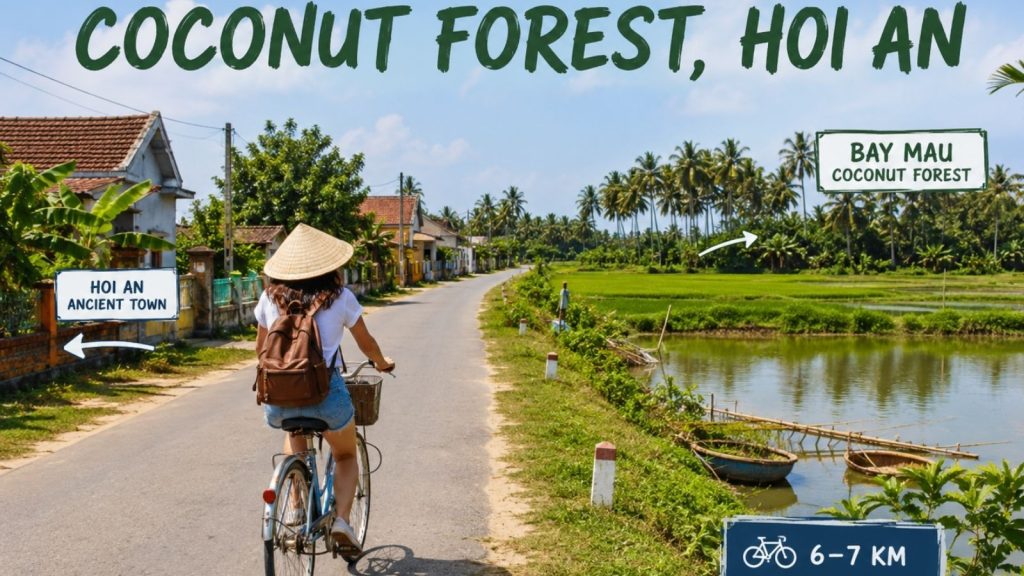 Tourist cycling toward Coconut Forest past rice paddies and basket boats.