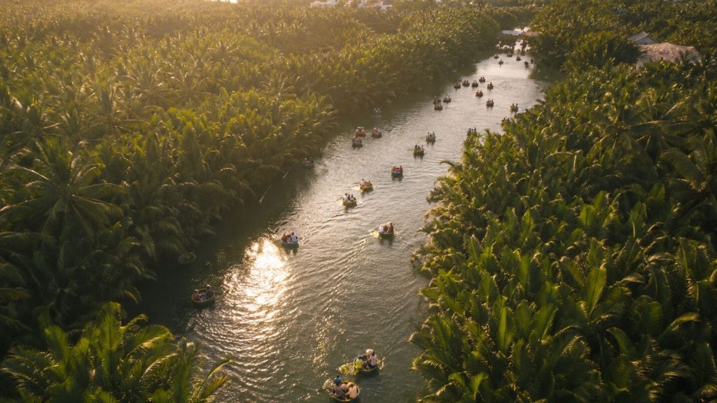 Aerial view of tourists in basket boats winding through Bay Mau Coconut Forest at sunset.