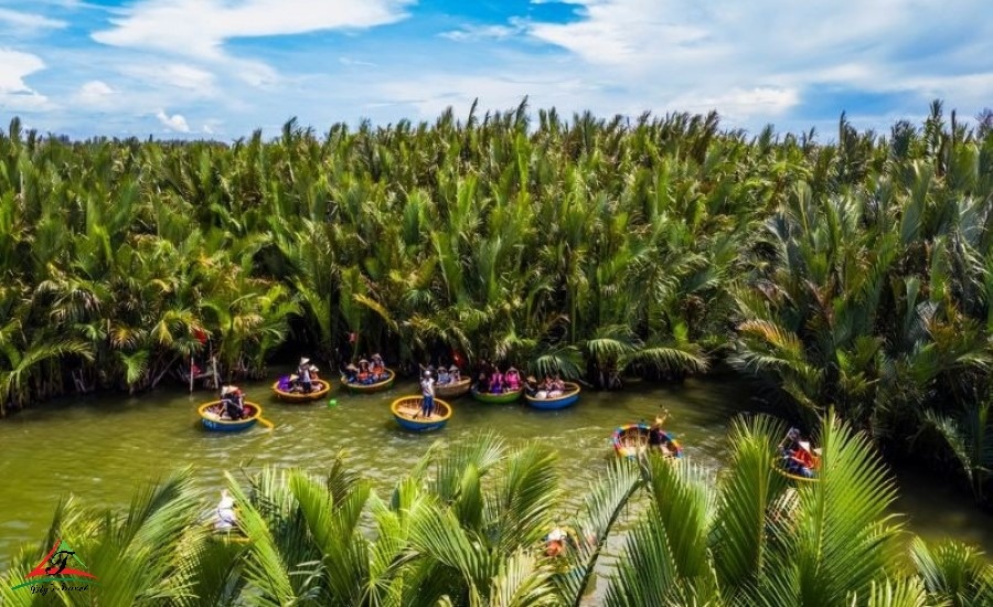 How to Choose the Best Coconut Boat Tour in Hoi An 4 Private Coconut Forest Discovery