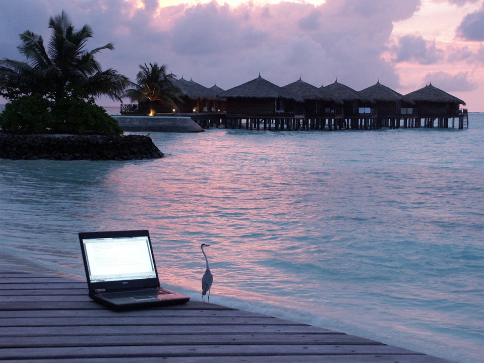 Optimizing Your Visit for the Best Time and Experience