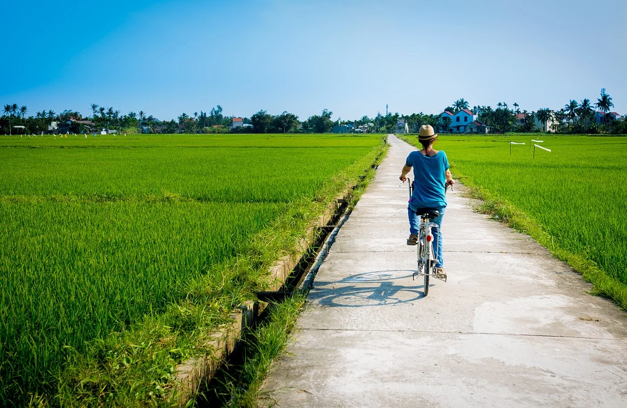 Cyclist riding through vivid green rice paddy fields and coconut palm paths in Cam Thanh countryside near Hoi An
