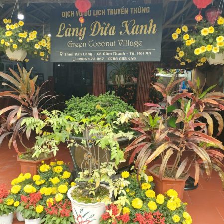 Green Coconut Village