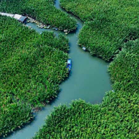 Hoi An Basket Boat Tour